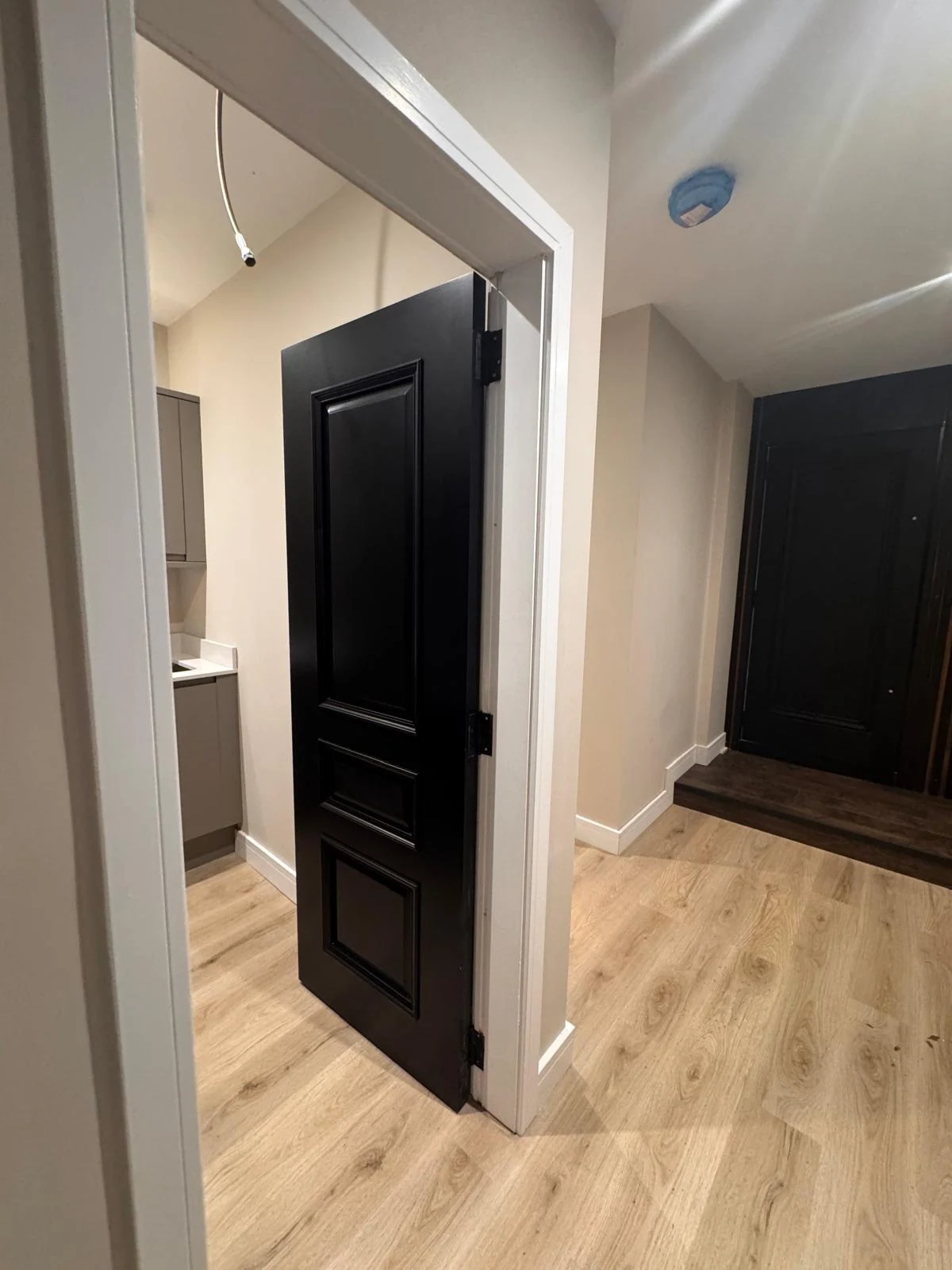 Black panelled internal doors hung by a carpenter with oak-effect flooring