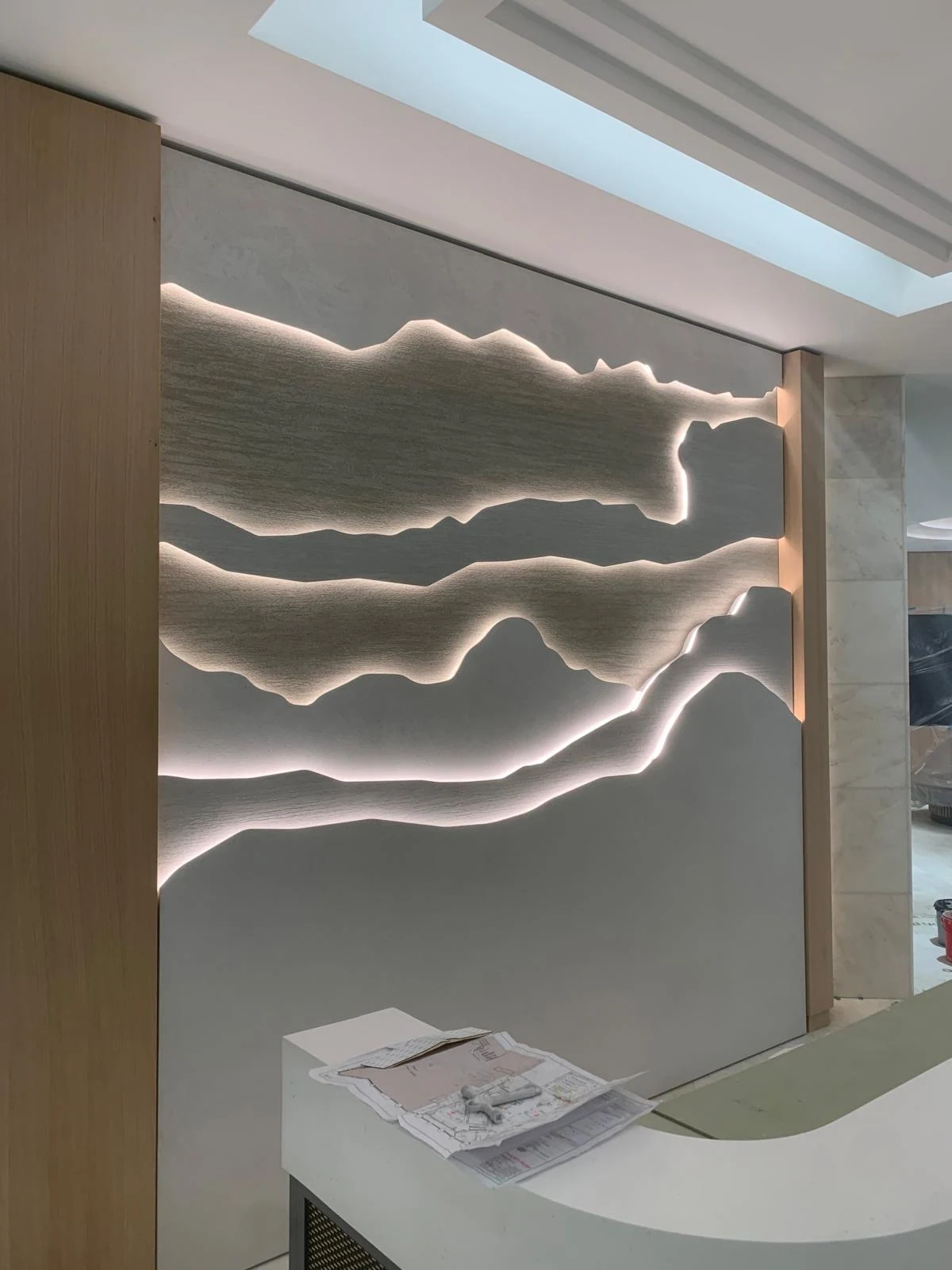 Bespoke illuminated feature wall joinery in a commercial interior